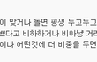 재밌게 대학생활 vs 올에이쁠