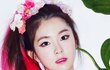 다들지금본진 누구로 입덕함???