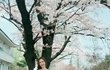 11일자 진세연 얼굴 근황 ㄷㄷ