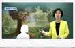 백설공주가 먹었던 사과가 성경에??