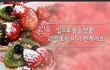 입맛 사로잡는 과일 토핑 미니 핫케잌 만들기!