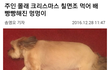 (멍청) 나 오후7에 학교 갔다옴 ㅋㅋㄱㅋㅋㅋ