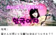 일본여자가 생각하는 한국여자