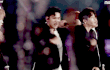 강동호 돌았나?