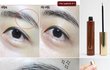 눈썹 관리 필수 아이템이라는데...