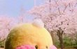 예쁘다는데 연락이없어