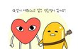 헐 남프듀 최종 순위 정리