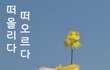 세월호를 잊지 말자!