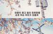 너를 잊지 못하는 이유.