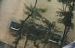 추가)사진과 내용추가입니다.  사마귀 제거하러 간 동생이 의식불명이 되었습니다 꼭 널리 퍼뜨려주세요