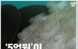 혈세낭비.jpg