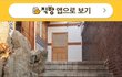 문앞에서 이리오너라~ 해도 될 비쥬얼의 집ㅋㅋㅋㅋ.jpg