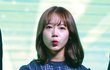 최유정 성형함?