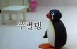 얘들아 여름에 택배받을때!