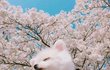 약 공포) 나 작년 여름에