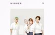 위너 이거 뭐야ㅅㅂ