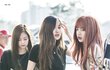 엔터톡