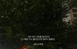 놓아주는 게 맞는 걸까