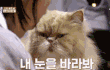 엔터톡