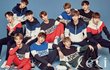 지극히 주관적인 워너원미모