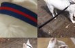 사랑하는 가족의 생사조차 알지 못하게 만든 인간