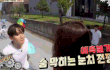 설렌다고 엄청 반응 좋은 우산 백현