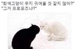 다들 어떻게 연애해?