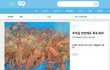 독도새우 실사