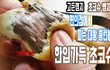 진짜억울해요.. 초코슈 리뷰영상을 했는데..