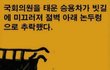 국회의원이라니 이걸 보낸 시어머니