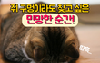 공감가는 민망한 상황들