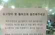 ㅇㅅ대학교 고양이