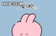 니니즈 이모티콘 세상 귀엽,,,