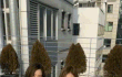 대학생때 페북