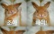 이사람을 진짜 사랑하는구나 느꼈을때