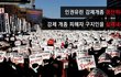 "살려주세요" 피맺힌 죽음의 호소를 광화문에서 알리다