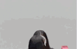 엔터톡