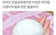 뭐가 더 설레는지 추반 ㄱ ㄱ