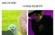 팬덤대통합)본진 제목학원짤 풀자!!