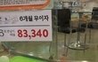 7년간 14번 출산...말티즈의 비참한 최후