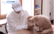 엔터톡
