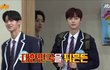 워너원 최고다 진짜
