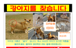 도와주세요. 저희 개가 이웃에게 처참히 죽임을 당했습니다.