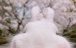 쌍커풀 생기는 법 없을까 ㅠㅠ?