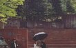 엔터톡