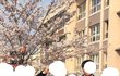이 교복 어디 학교인지 아는 사람