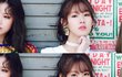 나 ㄹㅇ 라타타 꽂힘..