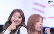 엔터톡