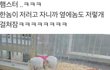 남친하고 싸웠는데