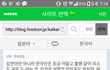 일본인이 본 한국여자